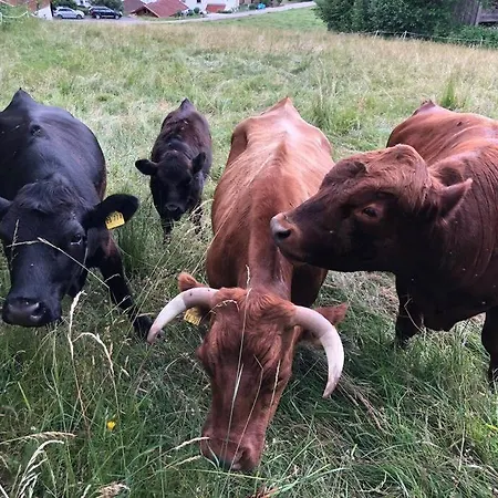 Panoramablick 2 *